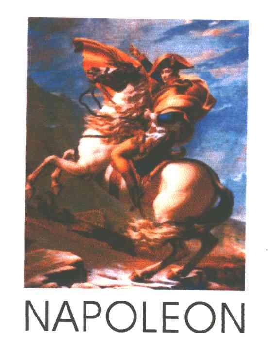 NAPOLEON及图