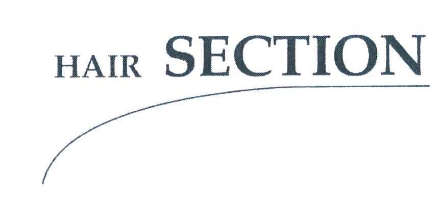 HAIR SECTION