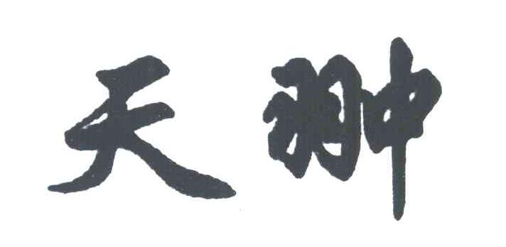 天翀