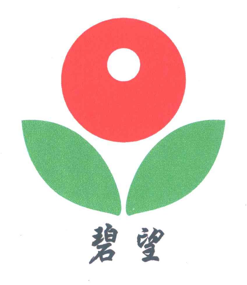 碧望