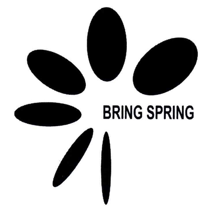 BRINGSPRING