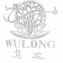 乌龙