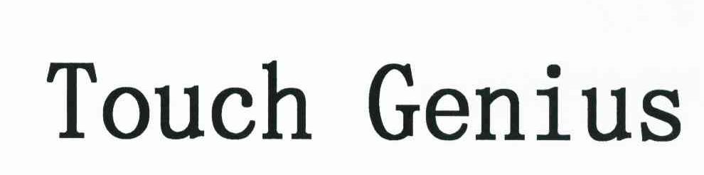 TOUCH GENIUS