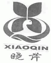 晓芹
