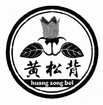 黄松背