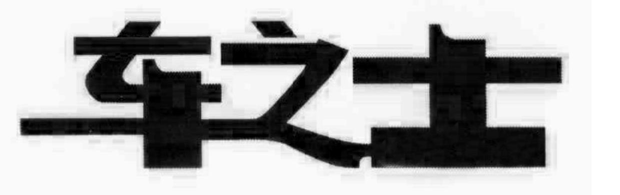 车之士