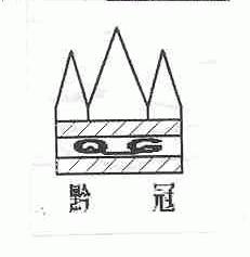 黔冠