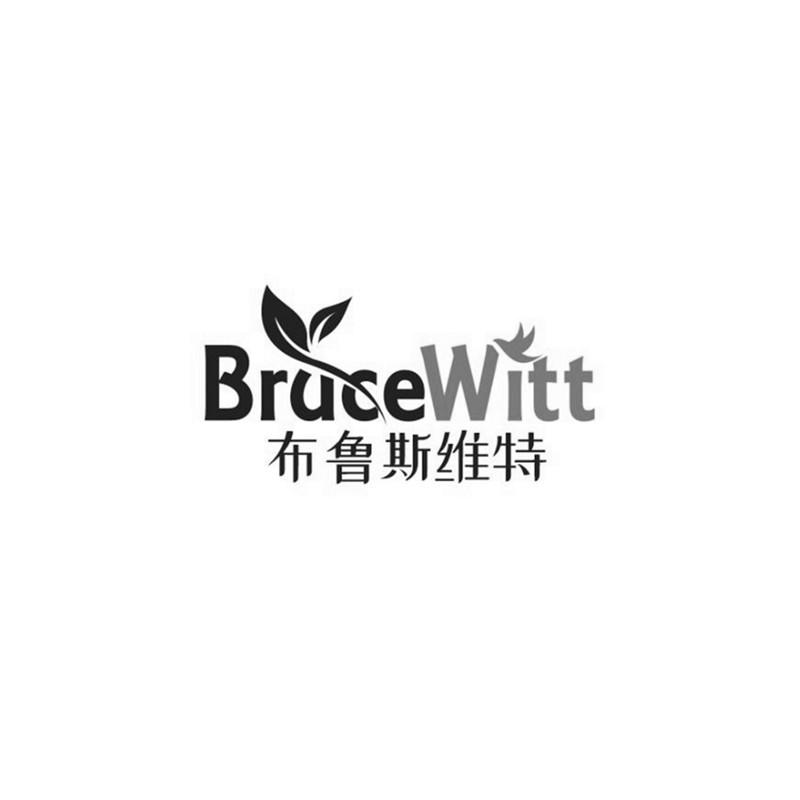 布鲁斯维特 BRUCEWITT