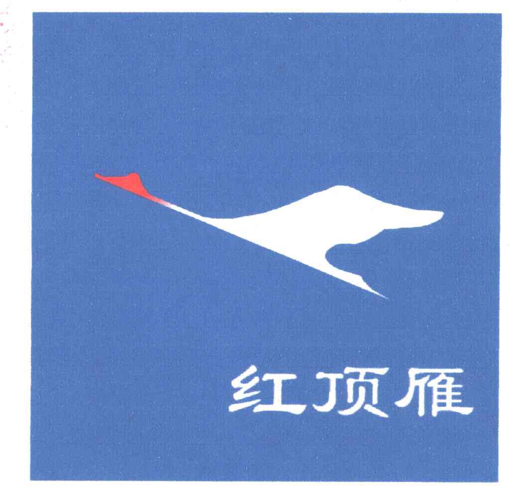 红顶雁