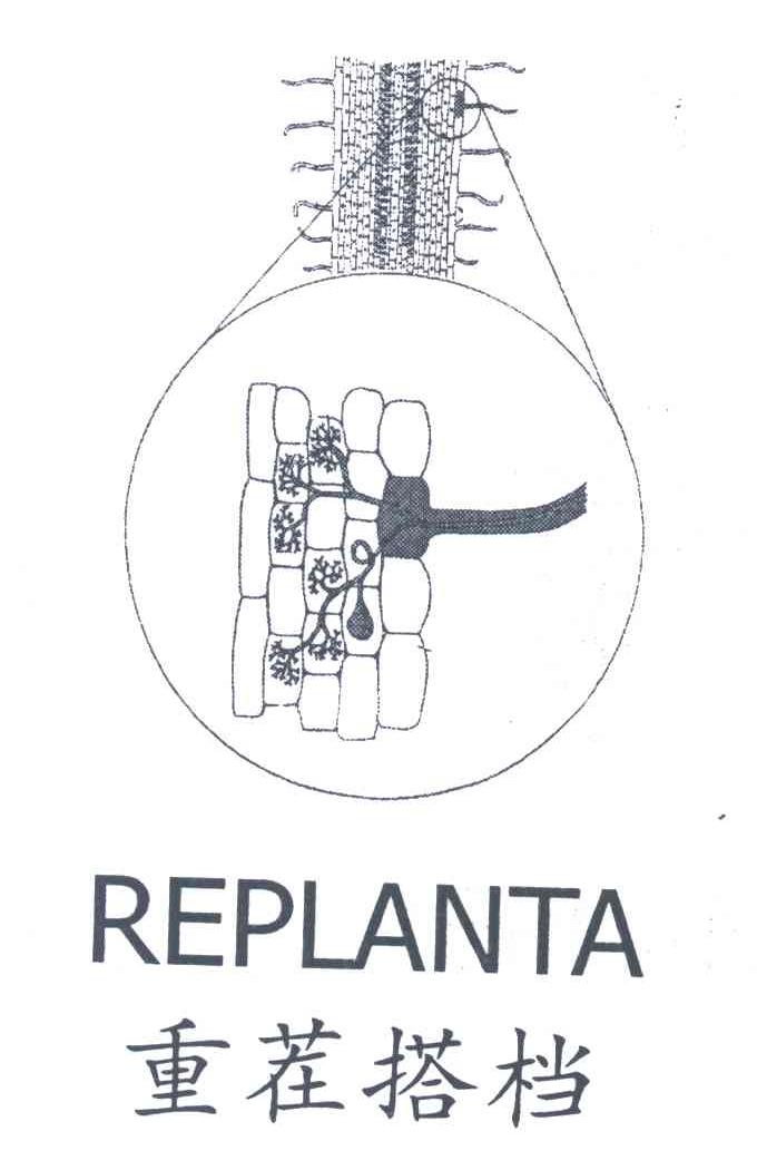 重茬搭档;REPLANTA