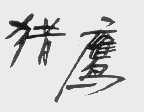 猎鹰