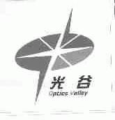 光谷;OPTICS VALLEY