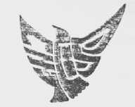 金鸥