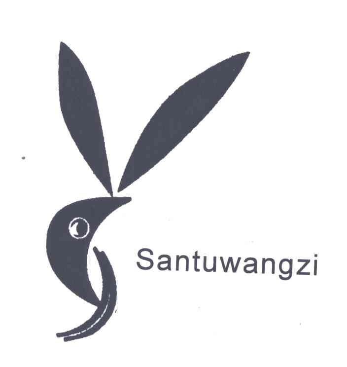 SANTUWANGZI