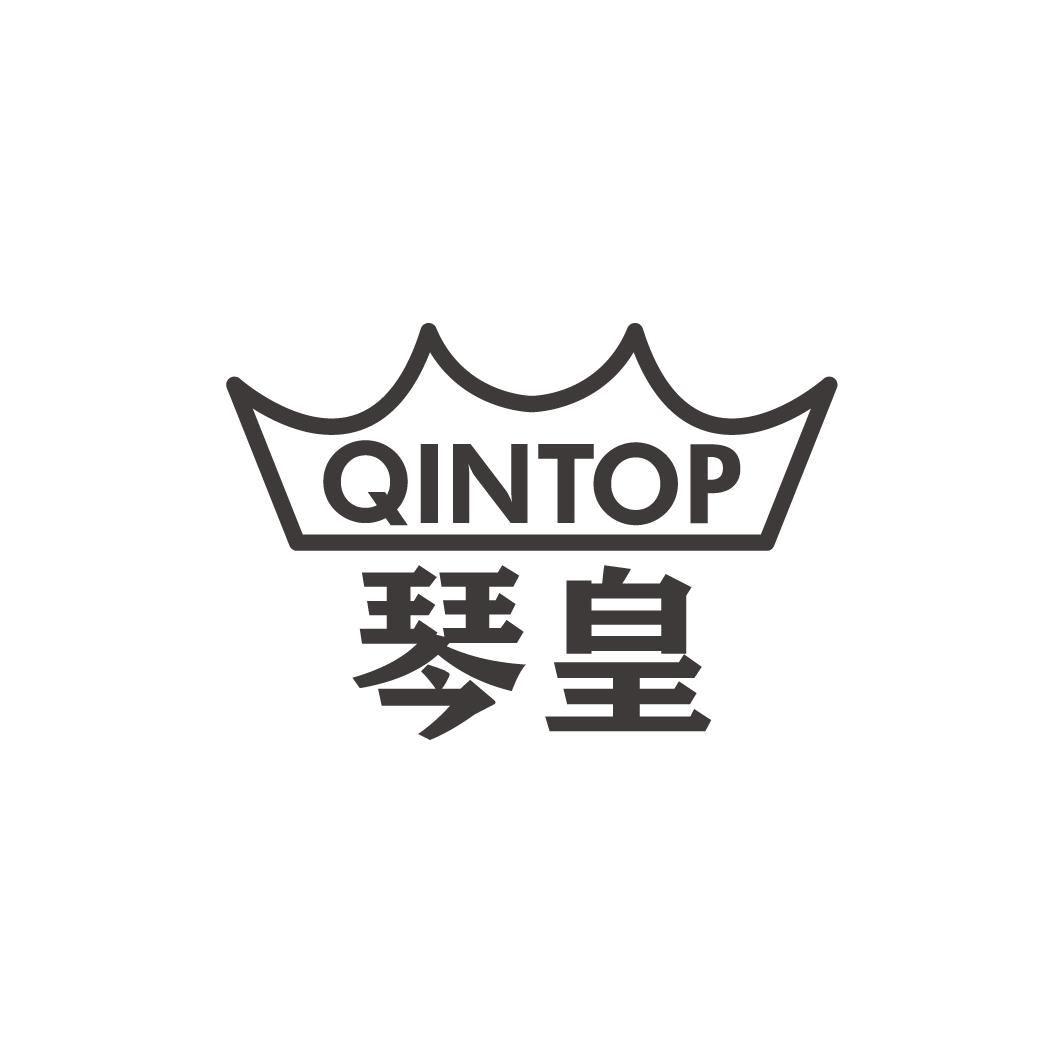 QINTOP 琴皇