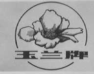 玉兰