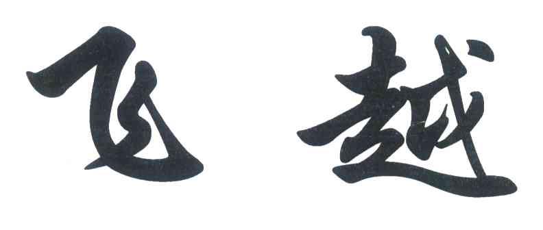飞越