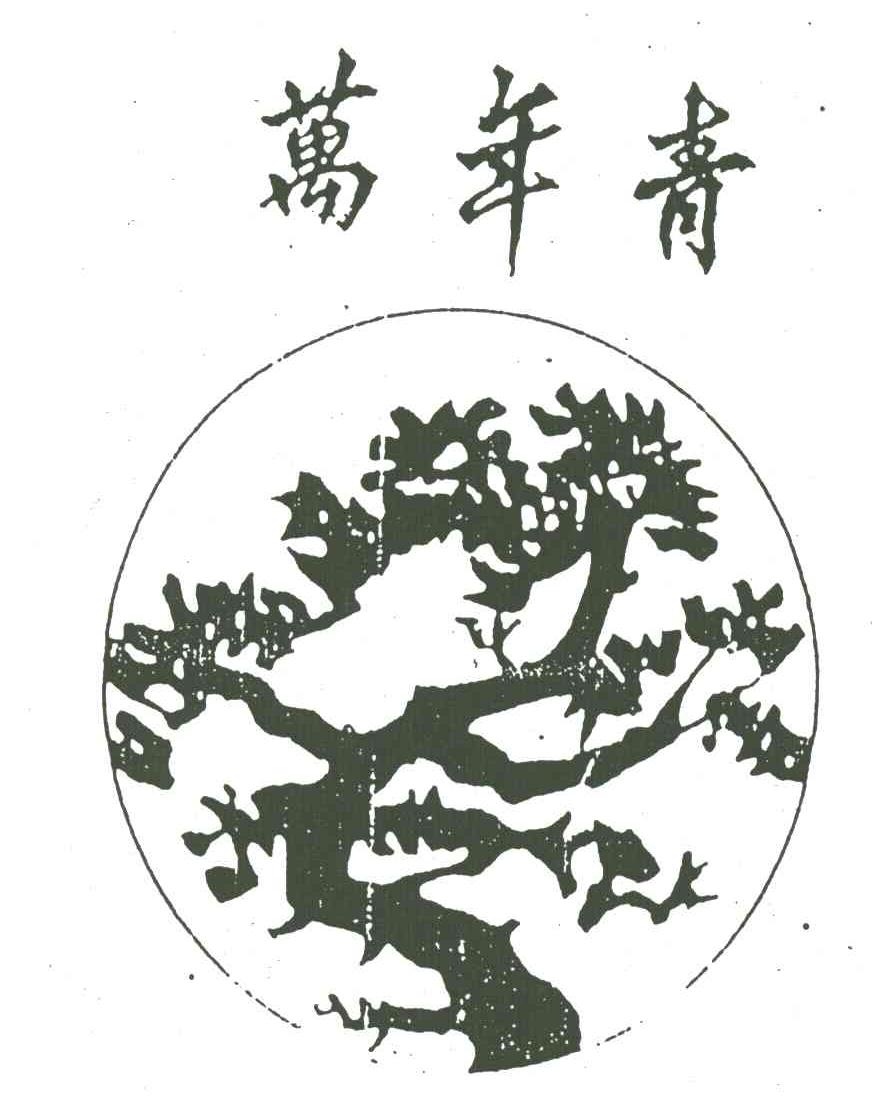 万年青