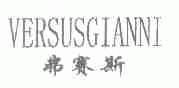 弗赛斯;VERSUSGIANNI