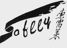索富莱