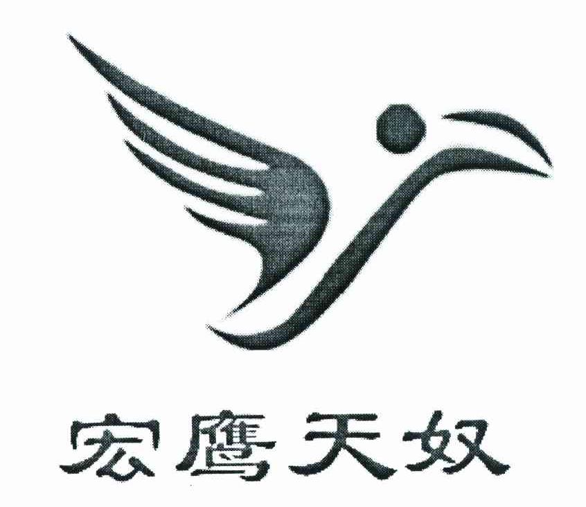 宏鹰天奴