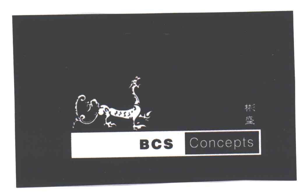彬盛;BCS CONCEPTS