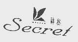 神秘  SECRET