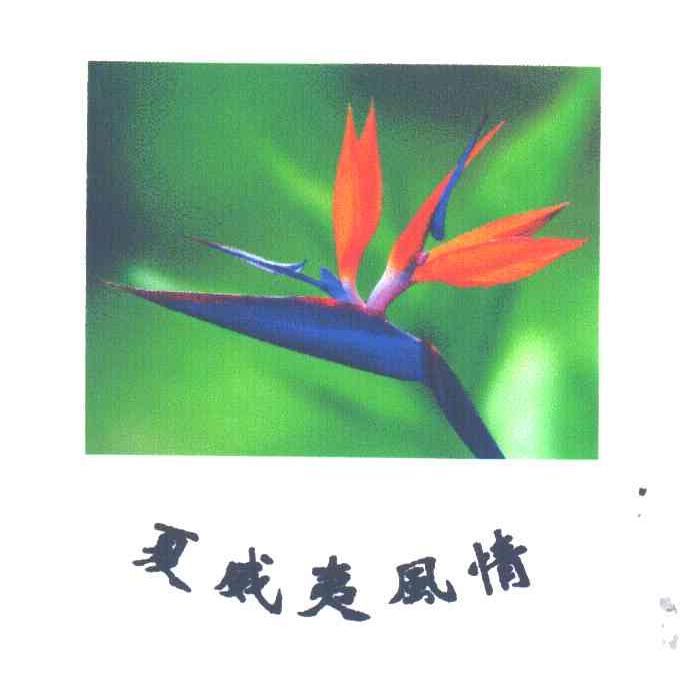 夏威夷风情