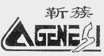 靳簇   AGENESI