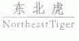 东北虎;NORTHEAST TIGER