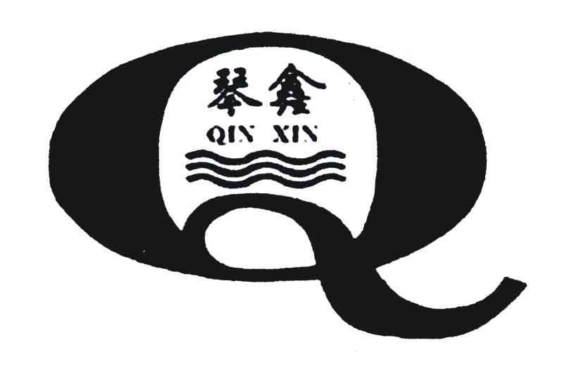 琴鑫