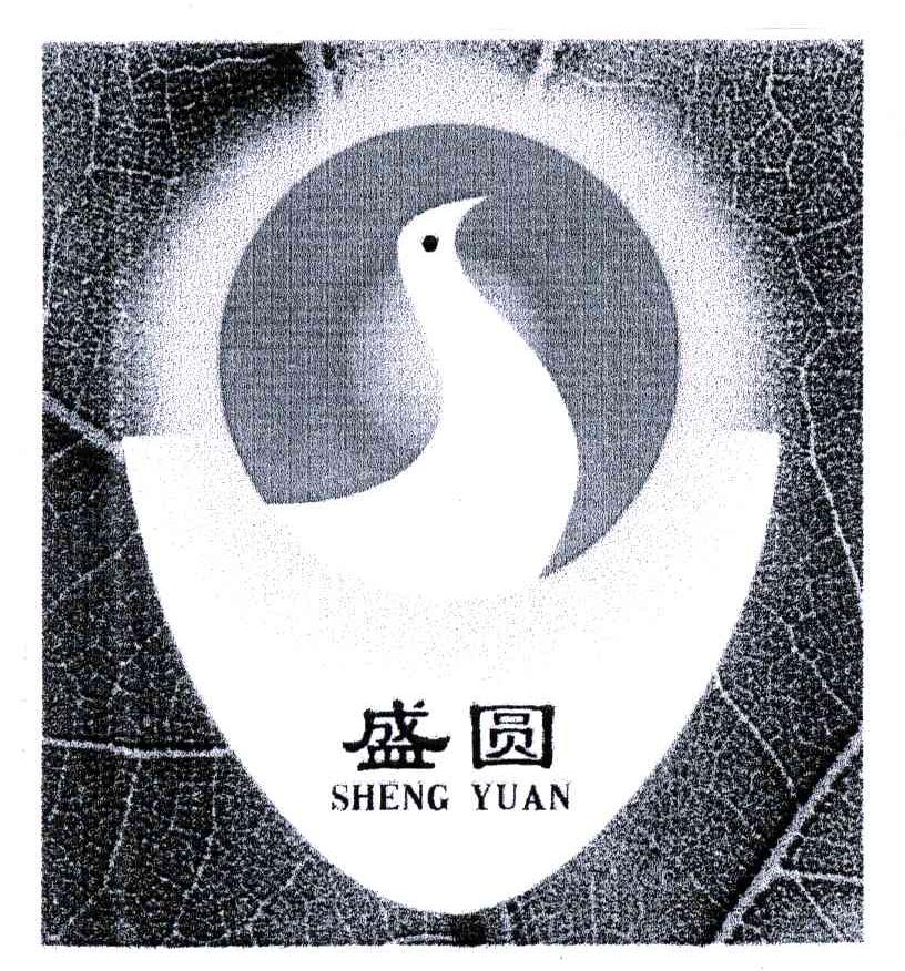 盛圆