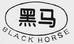 黑马