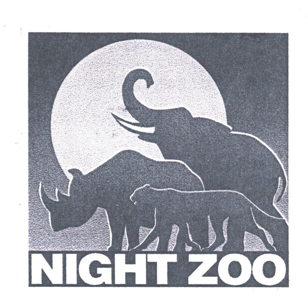 NIGHT ZOO