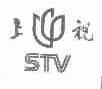 上视;STV