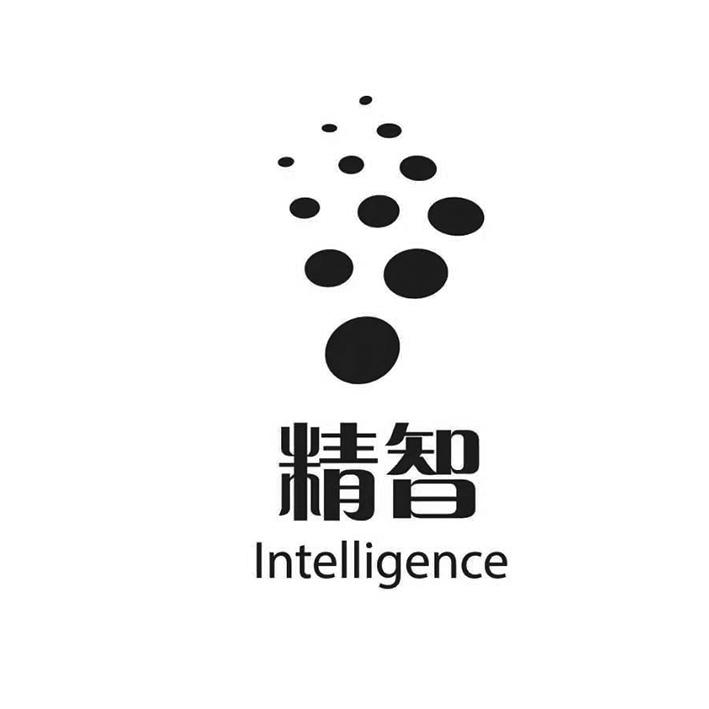 精智 INTELLIGENCE