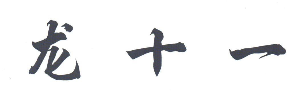 龙十一
