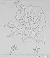 牡丹