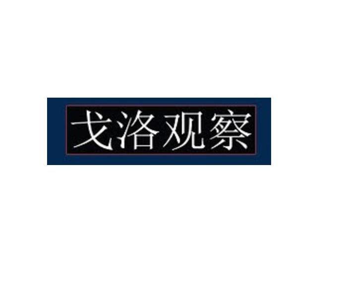 戈洛观察