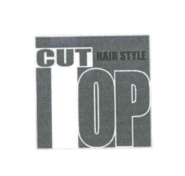 CUT HAIR STYLE；TOP
