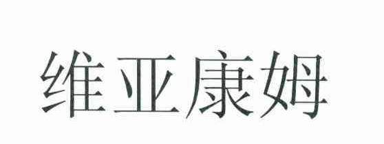 维亚康姆