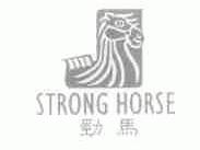 劲马;STRONG HORSE