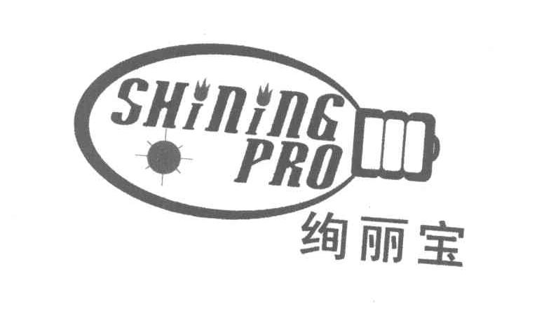 绚丽宝 SHININGPRO