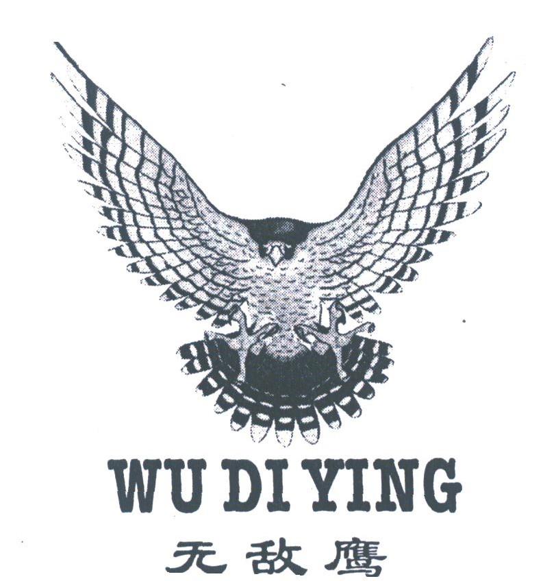 无敌鹰
