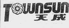 天成   TOWNSUN