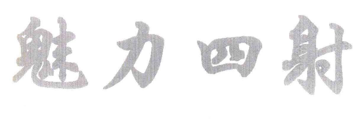 魅力四射
