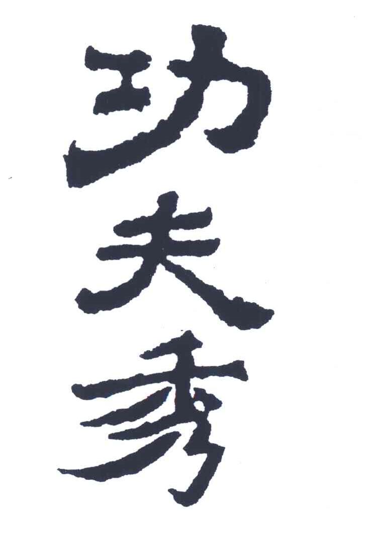 功夫秀