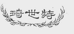 琦世特