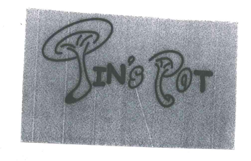 JIN'S POT