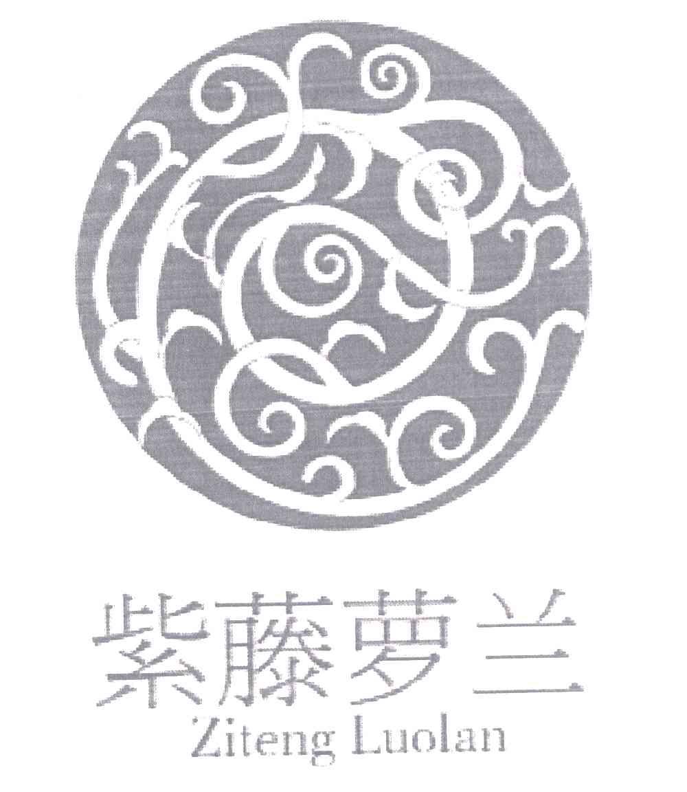 紫藤萝兰